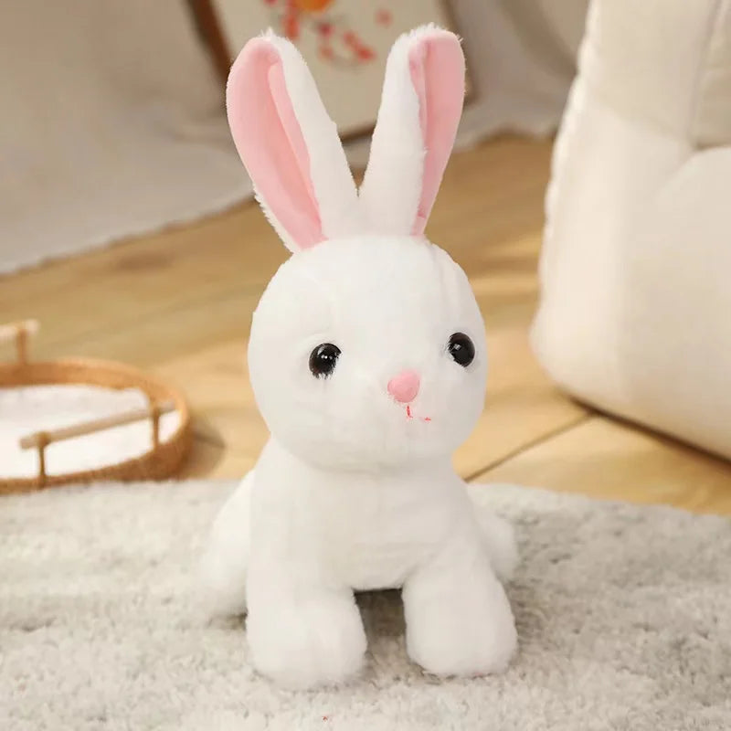 Kawaii Animal Plush Set – 6 Soft Toys Vervelle