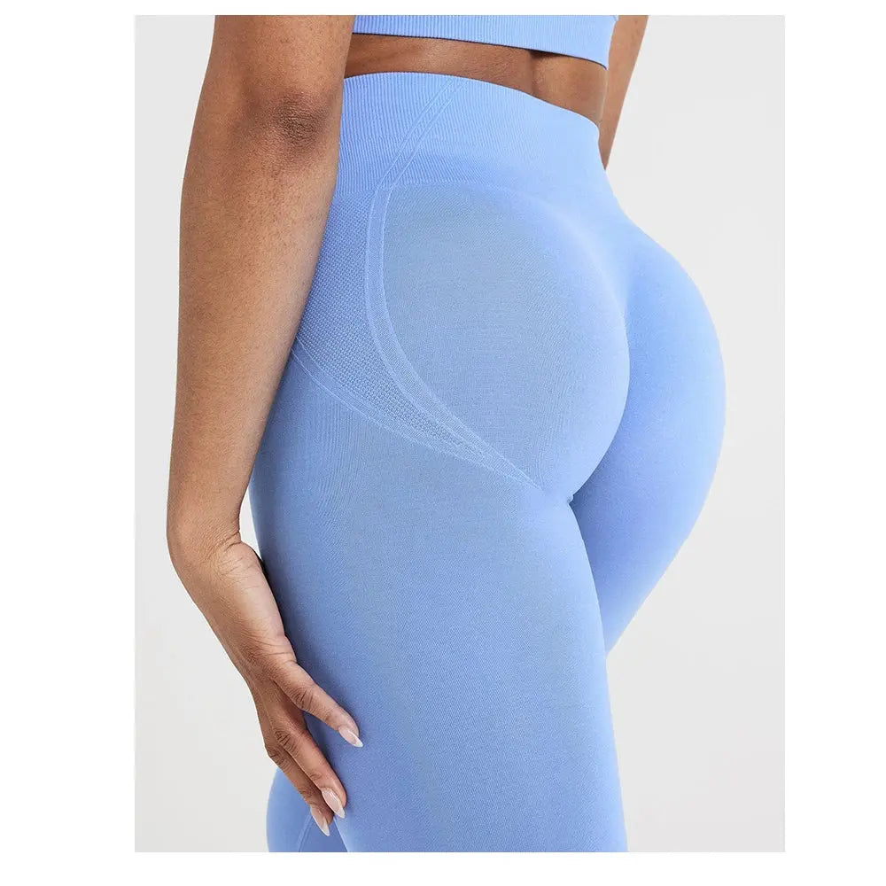 Women High Waist Seamless Gym & Yoga Leggings Fitness Pants Vervelle