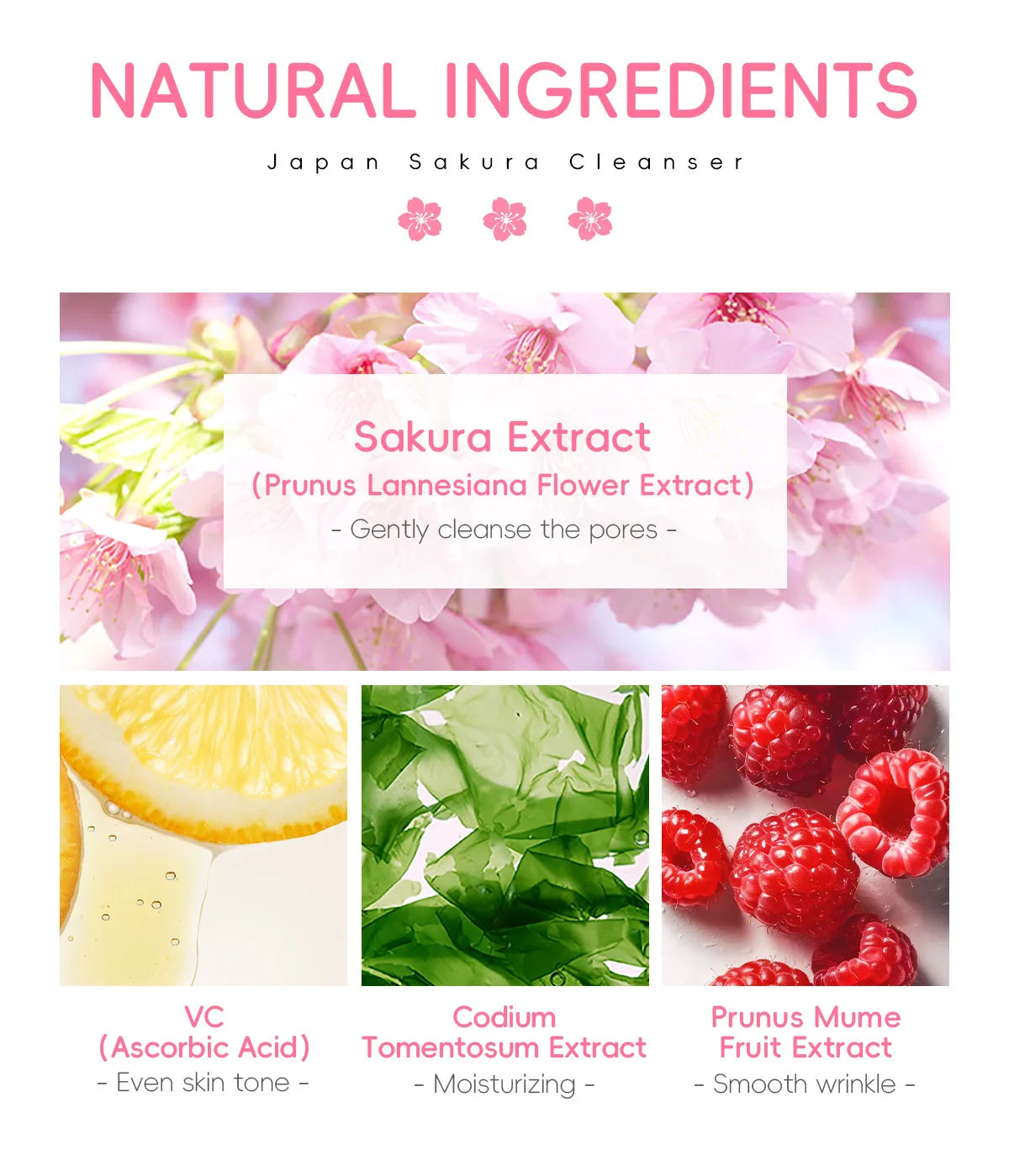 LAIKOU Sakura Facial Cleanser Vervelle