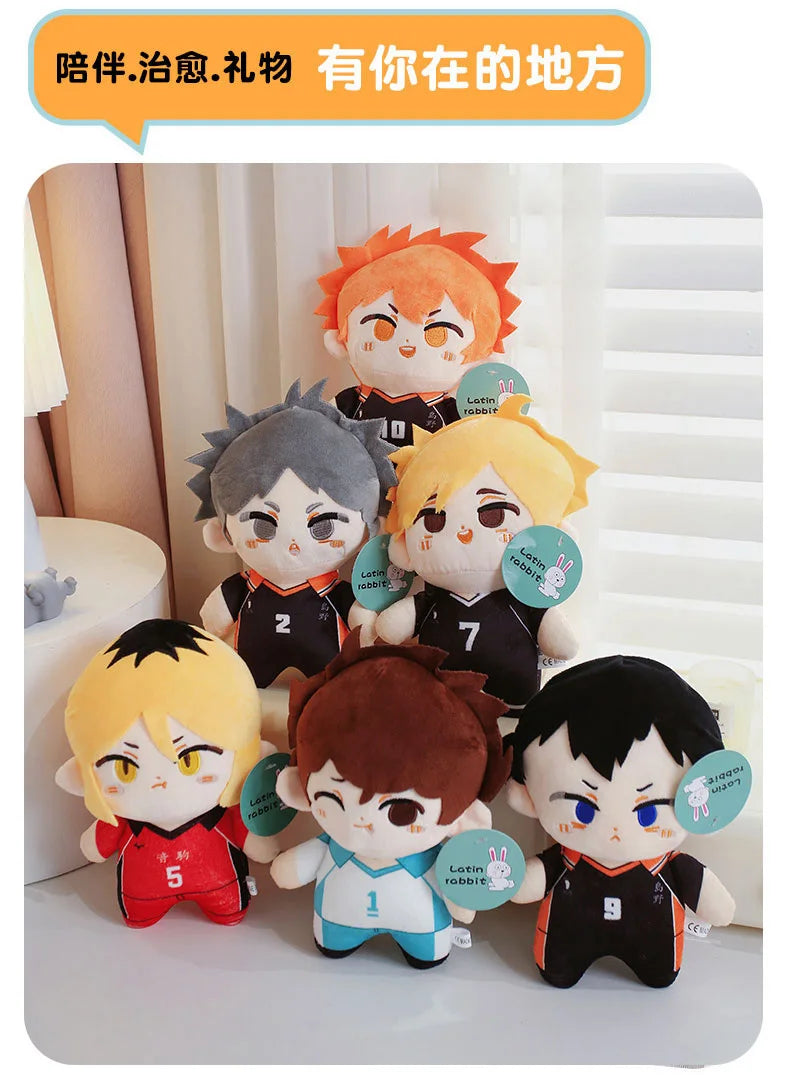 Haikyuu Plush Toy Set Vervelle