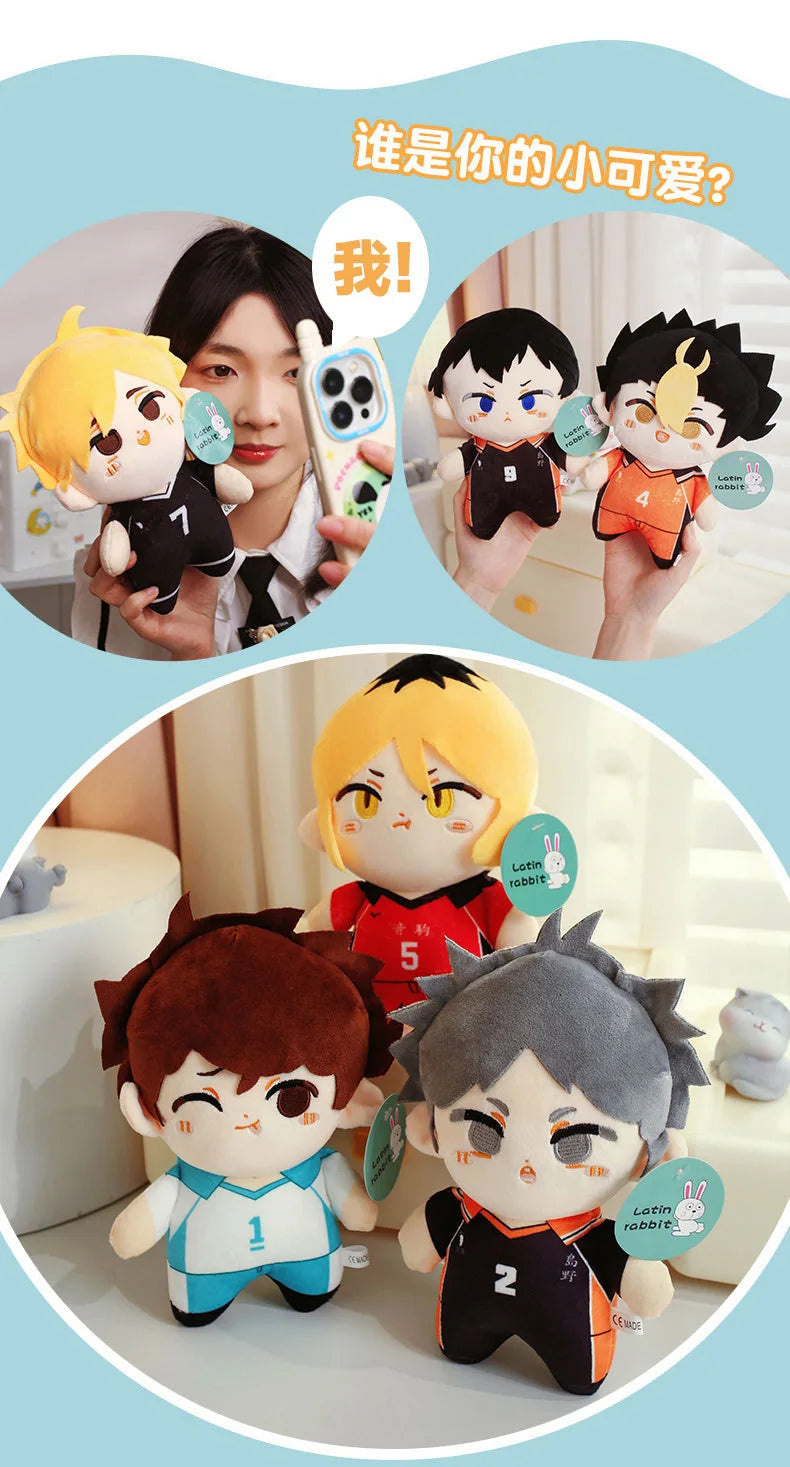 Haikyuu Plush Toy Set Vervelle